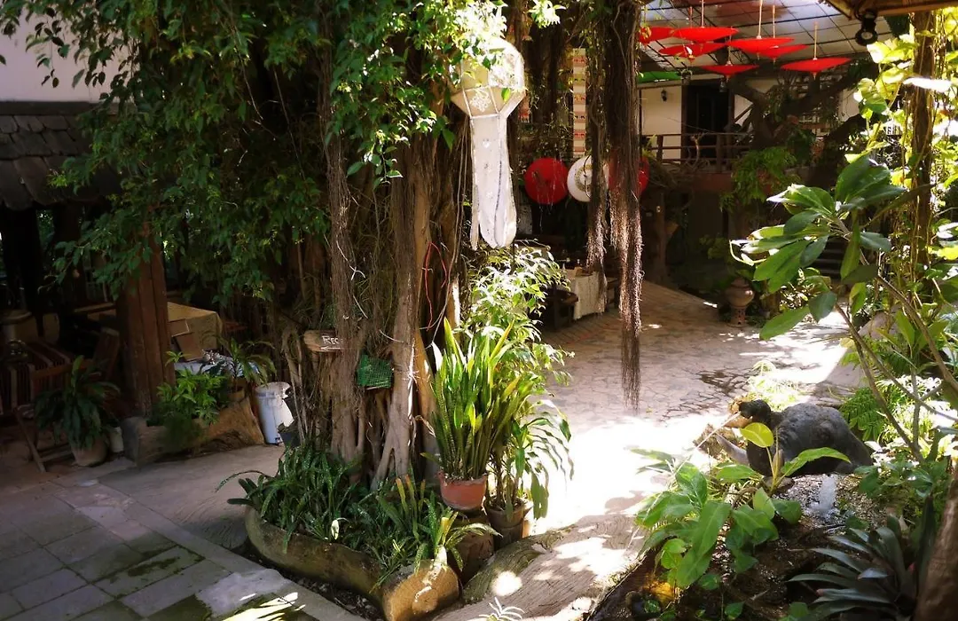 Mountain View Guesthousechiangmai-1