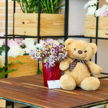 Little Bear'S Home-3