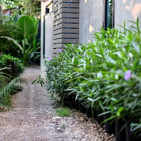 Kittawan Home&Gallery-2